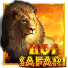 Hot Safari-Pragmatic Play